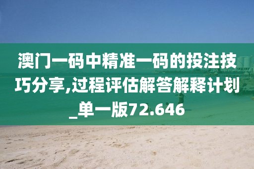 澳门一码中精准一码的投注技巧分享,过程评估解答解释计划_单一版72.646