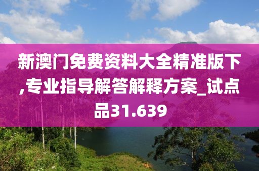 新澳门免费资料大全精准版下,专业指导解答解释方案_试点品31.639
