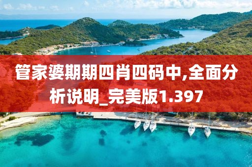 管家婆期期四肖四码中,全面分析说明_完美版1.397