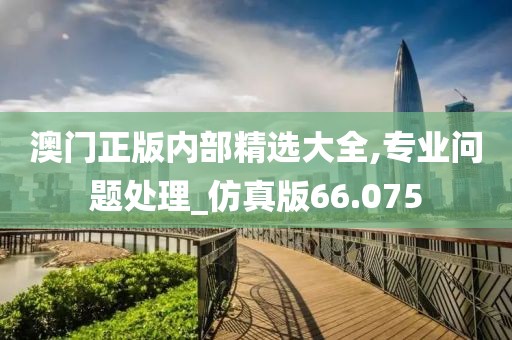 澳门正版内部精选大全,专业问题处理_仿真版66.075