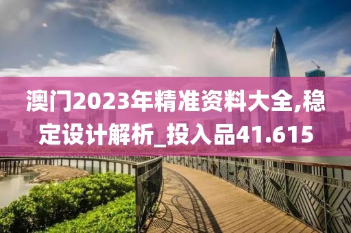 澳门2023年精准资料大全,稳定设计解析_投入品41.615