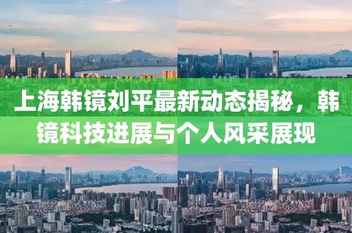 上海韩镜刘平最新动态揭秘，韩镜科技进展与个人风采展现