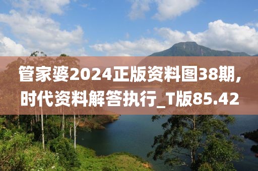 管家婆2024正版资料图38期,时代资料解答执行_T版85.42