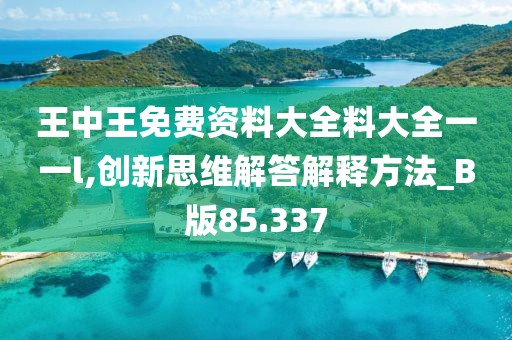王中王免费资料大全料大全一一l,创新思维解答解释方法_B版85.337