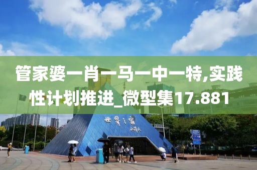 管家婆一肖一马一中一特,实践性计划推进_微型集17.881