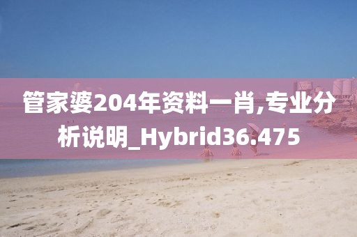 管家婆204年资料一肖,专业分析说明_Hybrid36.475
