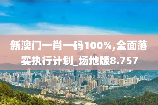 新澳门一肖一码100%,全面落实执行计划_场地版8.757