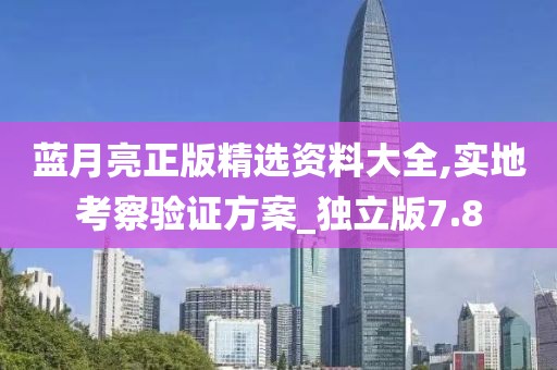 蓝月亮正版精选资料大全,实地考察验证方案_独立版7.8