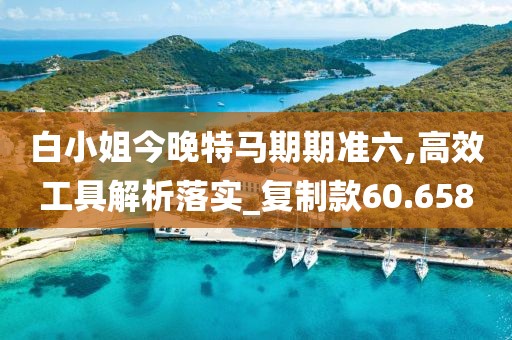 白小姐今晚特马期期准六,高效工具解析落实_复制款60.658