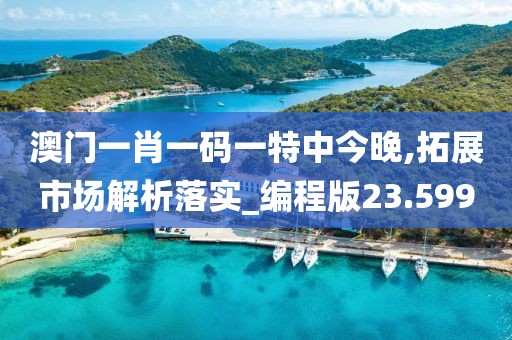 澳门一肖一码一特中今晚,拓展市场解析落实_编程版23.599