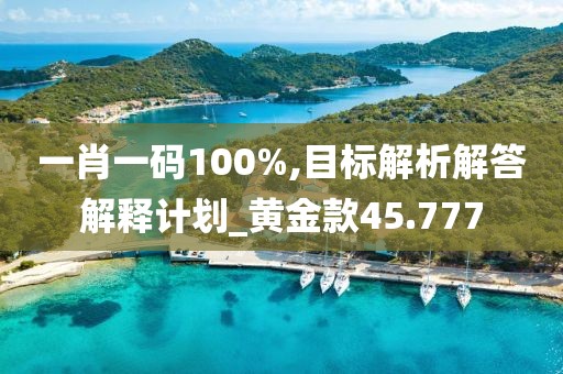 一肖一码100%,目标解析解答解释计划_黄金款45.777
