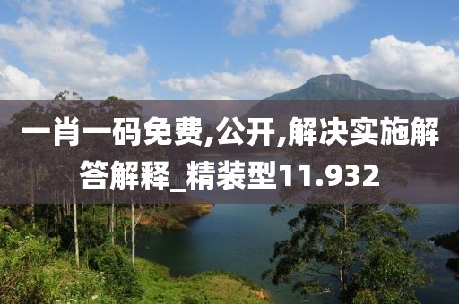一肖一码免费,公开,解决实施解答解释_精装型11.932