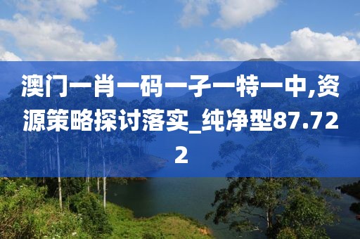 澳门一肖一码一孑一特一中,资源策略探讨落实_纯净型87.722