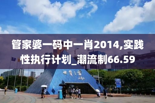管家婆一码中一肖2014,实践性执行计划_潮流制66.59