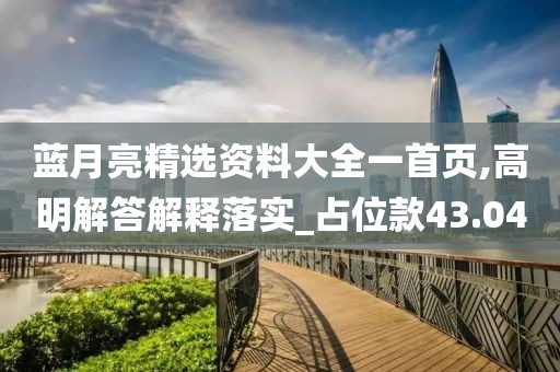蓝月亮精选资料大全一首页,高明解答解释落实_占位款43.04