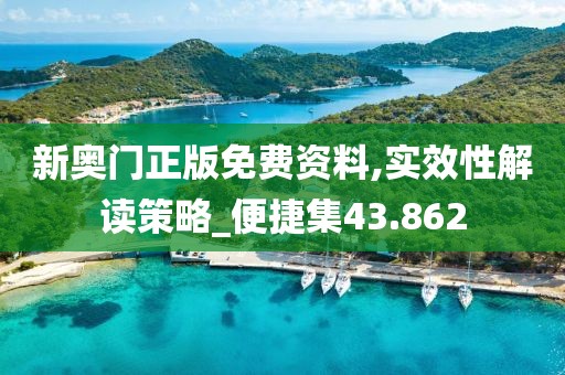 新奥门正版免费资料,实效性解读策略_便捷集43.862