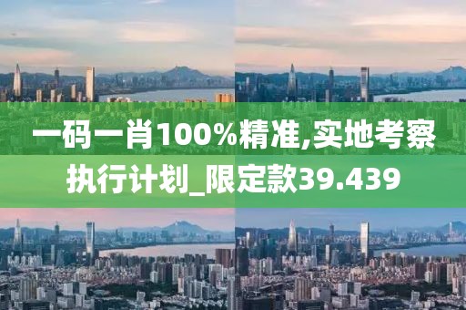 一码一肖100%精准,实地考察执行计划_限定款39.439