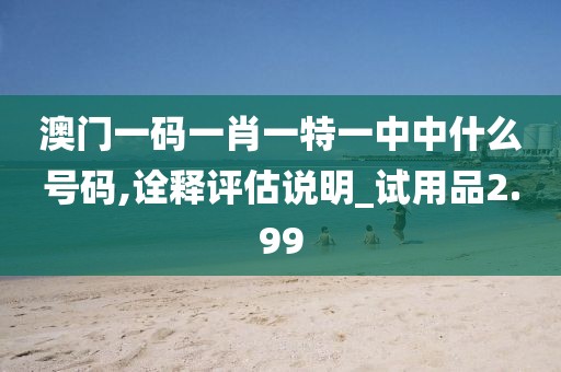 澳门一码一肖一特一中中什么号码,诠释评估说明_试用品2.99