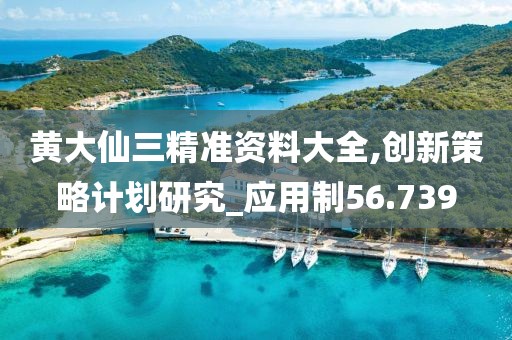 黄大仙三精准资料大全,创新策略计划研究_应用制56.739