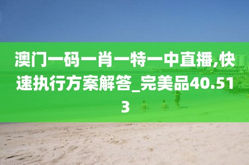 澳门一码一肖一特一中直播,快速执行方案解答_完美品40.513