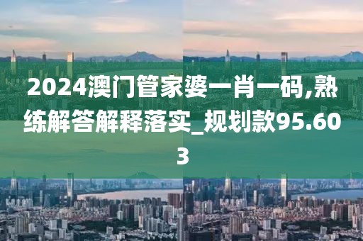 2024澳门管家婆一肖一码,熟练解答解释落实_规划款95.603