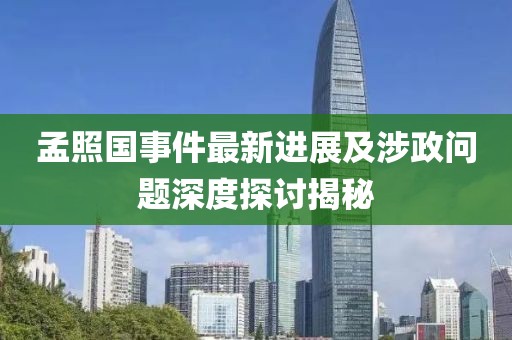 孟照国事件最新进展及涉政问题深度探讨揭秘
