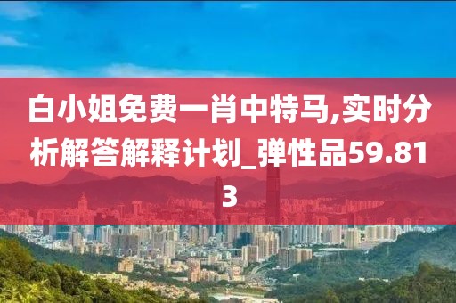 白小姐免费一肖中特马,实时分析解答解释计划_弹性品59.813