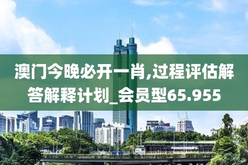 澳门今晚必开一肖,过程评估解答解释计划_会员型65.955