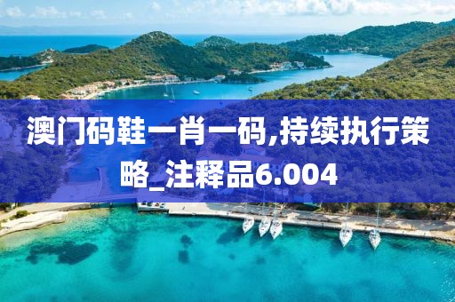 澳门码鞋一肖一码,持续执行策略_注释品6.004
