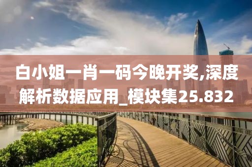 白小姐一肖一码今晚开奖,深度解析数据应用_模块集25.832
