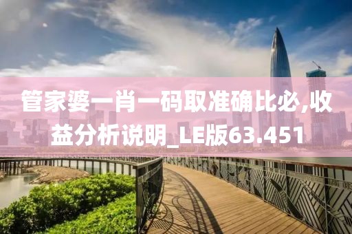 管家婆一肖一码取准确比必,收益分析说明_LE版63.451