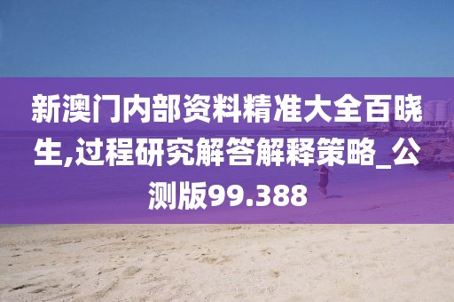 新澳门内部资料精准大全百晓生,过程研究解答解释策略_公测版99.388