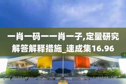 一肖一码一一肖一子,定量研究解答解释措施_速成集16.96