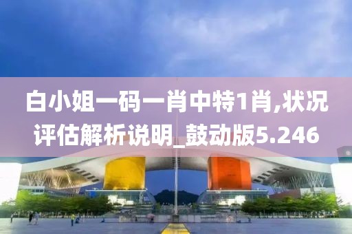 白小姐一码一肖中特1肖,状况评估解析说明_鼓动版5.246