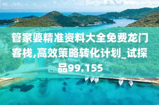 管家婆精准资料大全免费龙门客栈,高效策略转化计划_试探品99.155