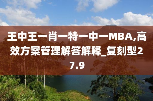 王中王一肖一特一中一MBA,高效方案管理解答解释_复刻型27.9