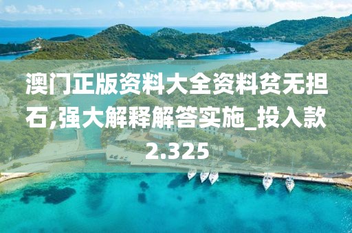 澳门正版资料大全资料贫无担石,强大解释解答实施_投入款2.325