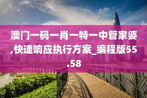 澳门一码一肖一特一中管家婆,快速响应执行方案_编程版55.58