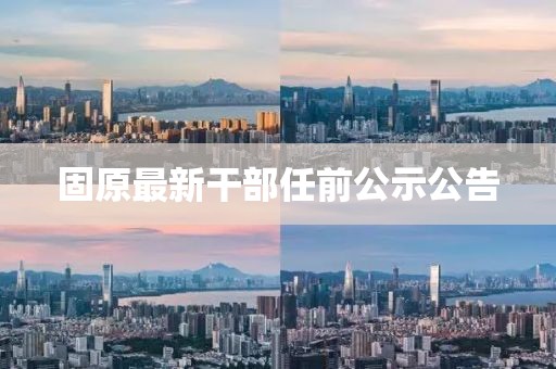 固原最新干部任前公示公告