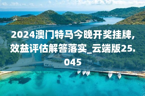 2024澳门特马今晚开奖挂牌,效益评估解答落实_云端版25.045