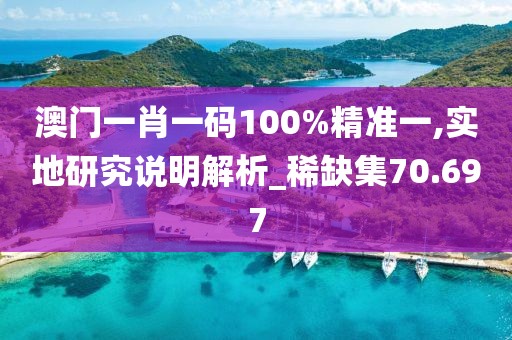 澳门一肖一码100%精准一,实地研究说明解析_稀缺集70.697