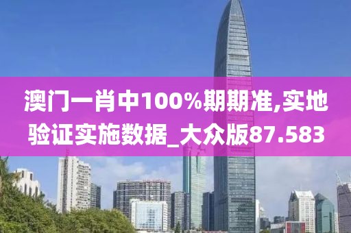 澳门一肖中100%期期准,实地验证实施数据_大众版87.583