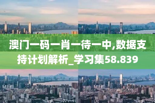 澳门一码一肖一待一中,数据支持计划解析_学习集58.839