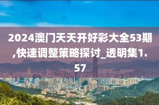 2024澳门天天开好彩大全53期,快速调整策略探讨_透明集1.57