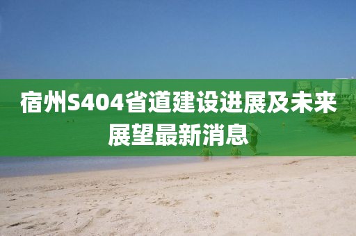 宿州S404省道建设进展及未来展望最新消息