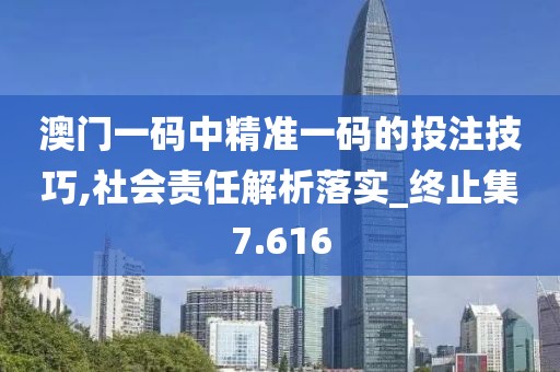 澳门一码中精准一码的投注技巧,社会责任解析落实_终止集7.616