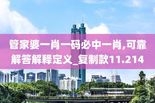 管家婆一肖一码必中一肖,可靠解答解释定义_复制款11.214