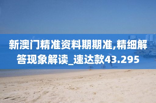 新澳门精准资料期期准,精细解答现象解读_速达款43.295