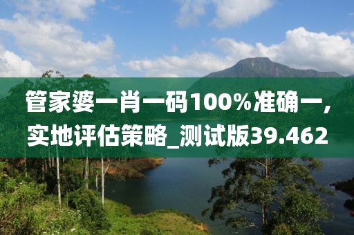 管家婆一肖一码100%准确一,实地评估策略_测试版39.462