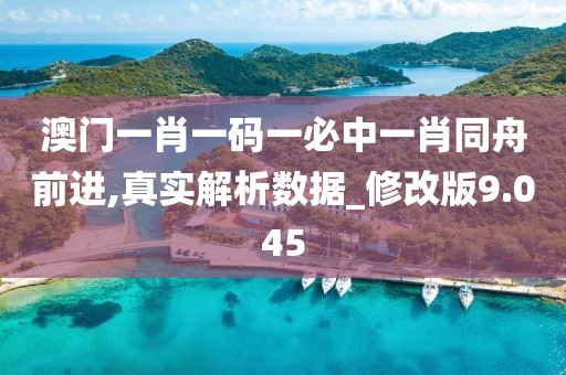 澳门一肖一码一必中一肖同舟前进,真实解析数据_修改版9.045
